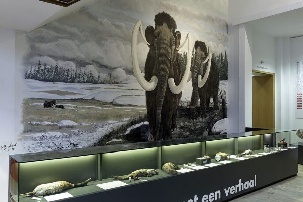 Expo met tekst 'dode dieren met een verhaal' en grote afbeelding van een mammoet op de muur